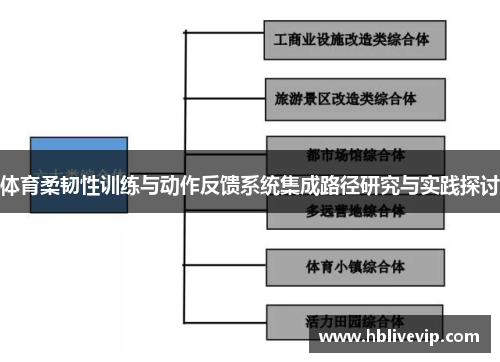 体育柔韧性训练与动作反馈系统集成路径研究与实践探讨