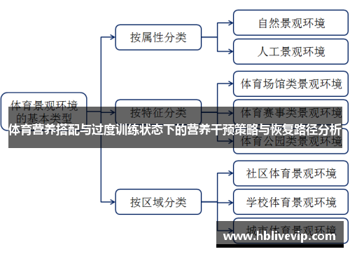 体育营养搭配与过度训练状态下的营养干预策略与恢复路径分析